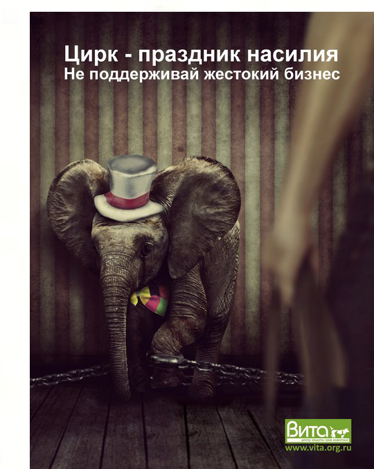 Цирк без животных.jpg